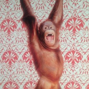 Meet your Posher, Alexandra